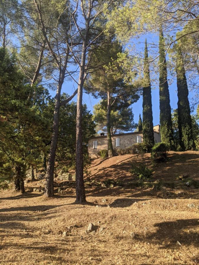 Le Clos Sous Le Chemin Seillans Exteriör bild
